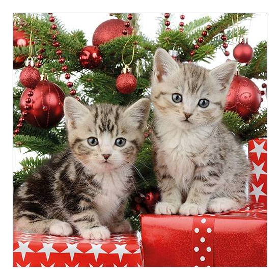 Christmas Kitten karácsonyi szalvéta 33x33cm 20 db-os