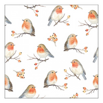 Robin Family karácsonyi szalvéta 33x33cm 20 db-os