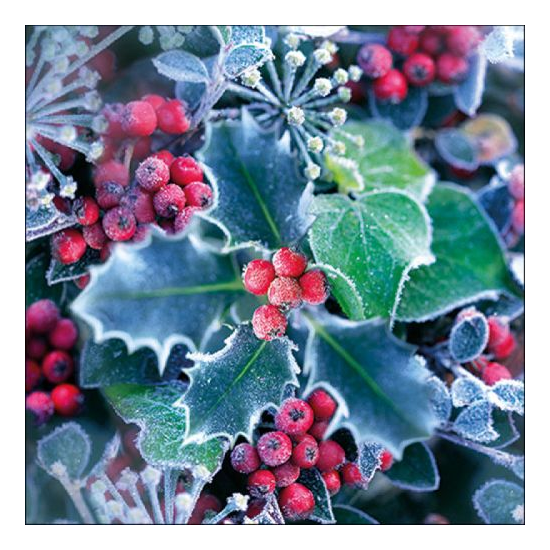 Frozen Holly karácsonyi szalvéta 33x33cm 20 db-os