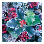 Frozen Holly karácsonyi szalvéta 33x33cm 20 db-os