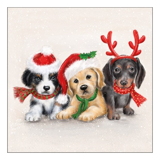 Sweet Dogs karácsonyi szalvéta 33x33cm 20 db-os