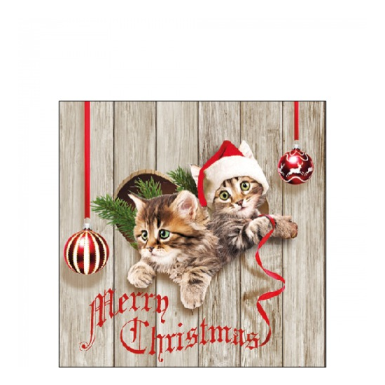 Curious Kittens karácsonyi szalvéta 25x25cm 20 db-os
