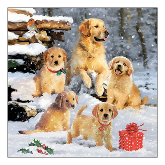 Golden retriever puppies karácsonyi szalvéta 33x33cm 20 db-os