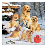 Golden retriever puppies karácsonyi szalvéta 33x33cm 20 db-os