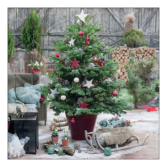 Decorated fir karácsonyi szalvéta 33x33cm 20 db-os