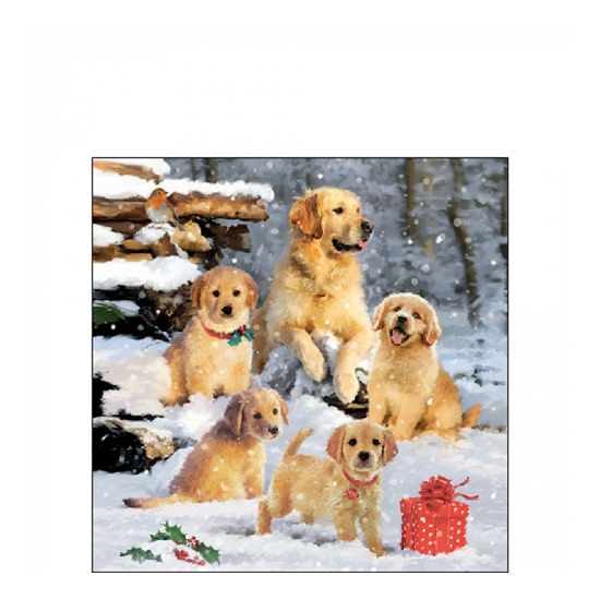 Golden retriever puppiees karácsonyi szalvéta 25x25cm 20 db-os