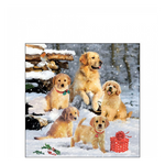 Golden retriever puppiees karácsonyi szalvéta 25x25cm 20 db-os