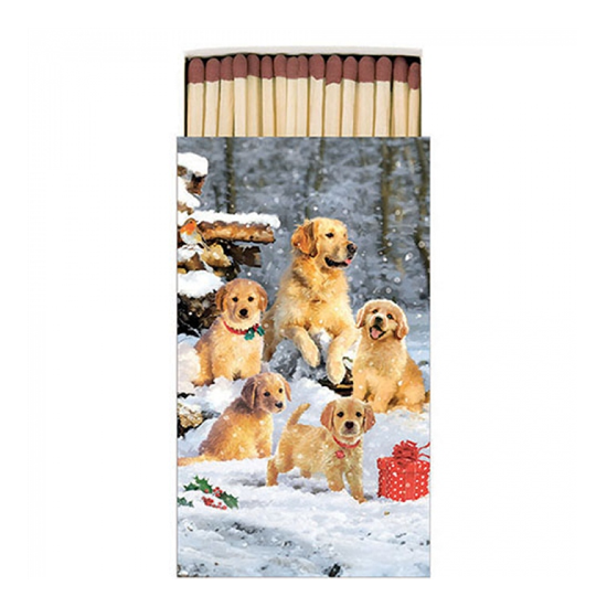 Golden retriever puppies gyufa karácsonyi dobozban