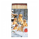 Golden retriever puppies gyufa karácsonyi dobozban