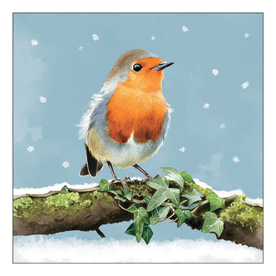 Robin on branch karácsonyi szalvéta 33x33cm 20 db-os