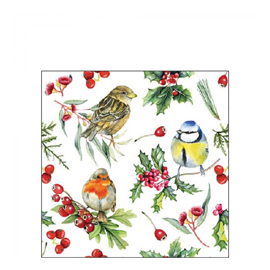 Karácsonyi szalvéta Birds in Winter 25x25 cm 20 db-os