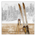 Karácsonyi szalvéta Retro ski 33x33 cm 20 db-os