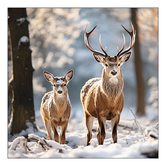 Karácsonyi szalvéta Deer in the forest 33x33 cm 20 db-os