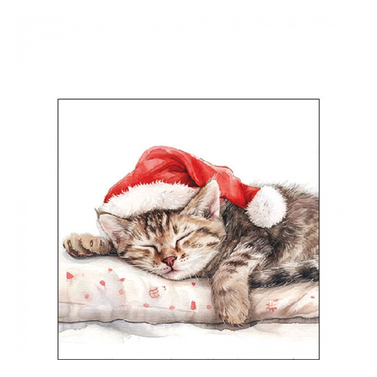 Karácsonyi szalvéta Dreaming about X-Mas 25x25 cm 20 db-os