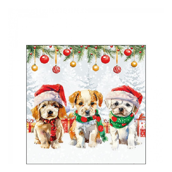 Karácsonyi szalvéta Funny cute puppies 25x25 cm 20 db-os