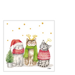 Sacred Cats karácsonyi háromrétegű papírszalvéta 25x25 cm 20 db-os