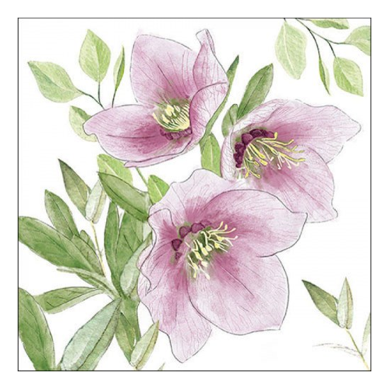 Classic helleborus karácsonyi szalvéta 33x33cm 20 db-os