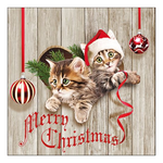 Curious Kittens karácsonyi szalvéta 33x33cm 20 db-os