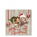 Curious Kittens karácsonyi szalvéta 25x25cm 20 db-os