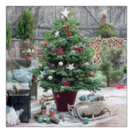 Decorated fir karácsonyi szalvéta 33x33cm 20 db-os