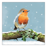 Robin on branch karácsonyi szalvéta 33x33cm 20 db-os