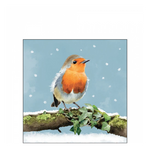 Robin on branch karácsonyi szalvéta 25x25cm 20 db-os
