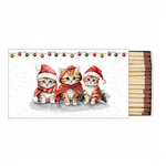 Funny cute kittens gyufa karácsonyi dobozban