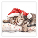 Karácsonyi szalvéta Dreaming about X-Mas 33x33 cm 20 db-os